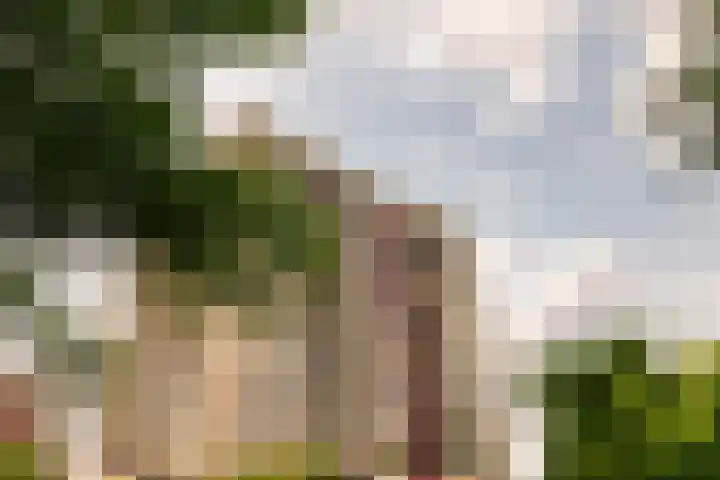 Vrijzicht 47 Amsterdam thumbnail 4