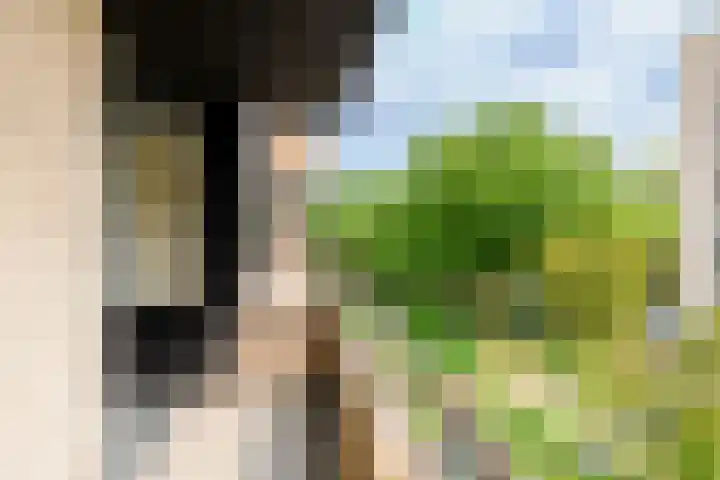 Vrijzicht 47 Amsterdam thumbnail 6