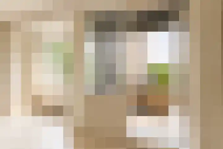 Vrijzicht 47 Amsterdam thumbnail 8