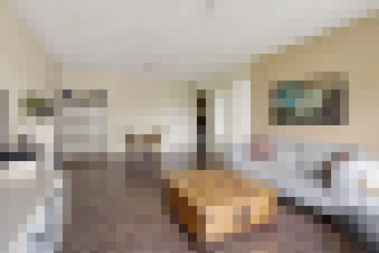 Vrijzicht 48 Amsterdam thumbnail 5