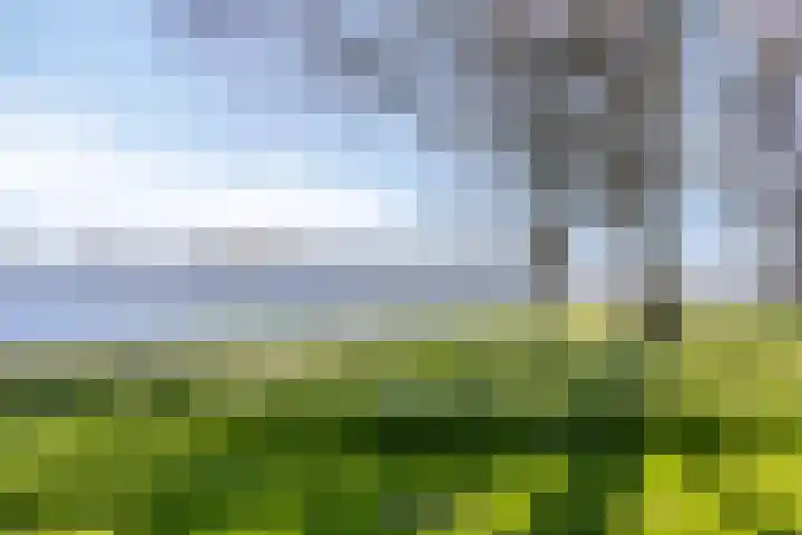Vrijzicht 90 Amsterdam thumbnail 37