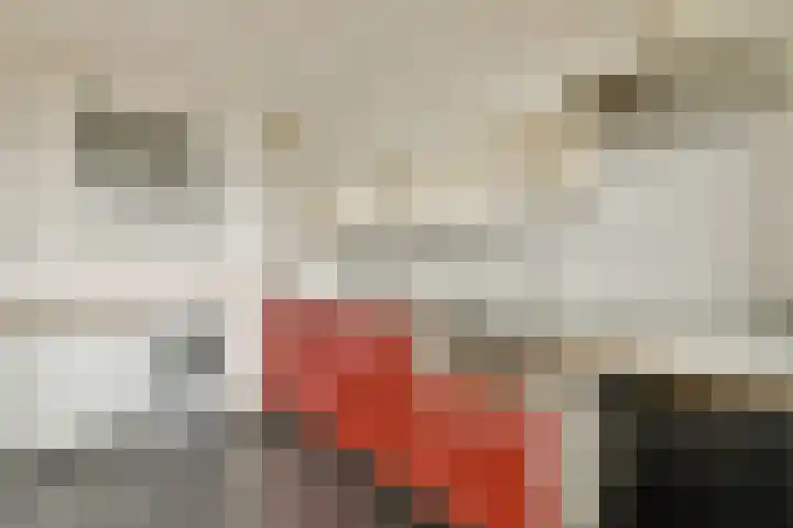 Vrijzicht 92 Amsterdam thumbnail 19
