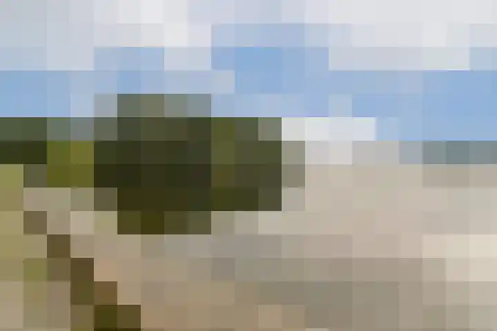 Vrijzicht 92 Amsterdam thumbnail 30