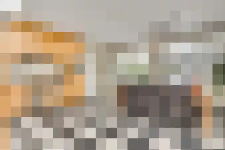 Vrinssenstraat 20 Stramproy thumbnail 13
