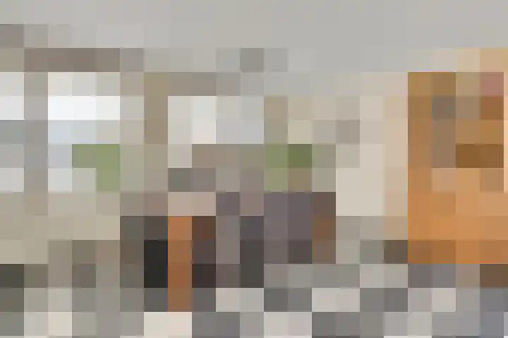 Vrinssenstraat 20 Stramproy thumbnail 14