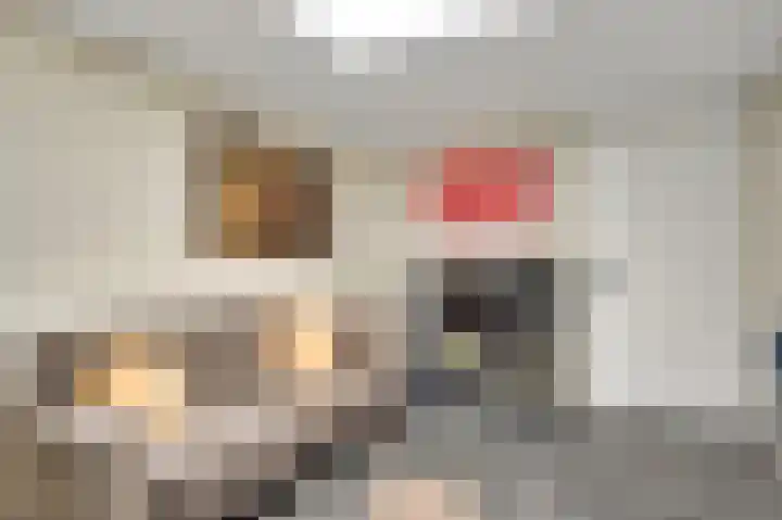Vrinssenstraat 20 Stramproy thumbnail 16