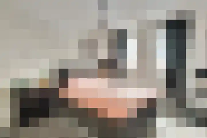 Vrinssenstraat 20 Stramproy thumbnail 18