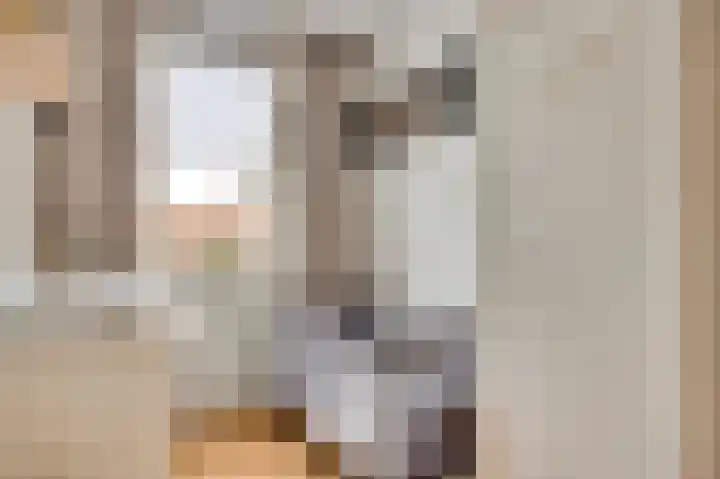 Vrinssenstraat 20 Stramproy thumbnail 21
