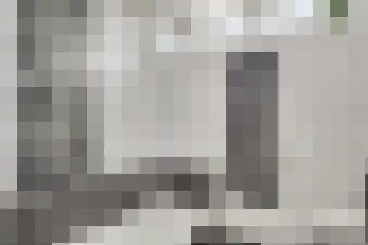 Vrinssenstraat 20 Stramproy thumbnail 23