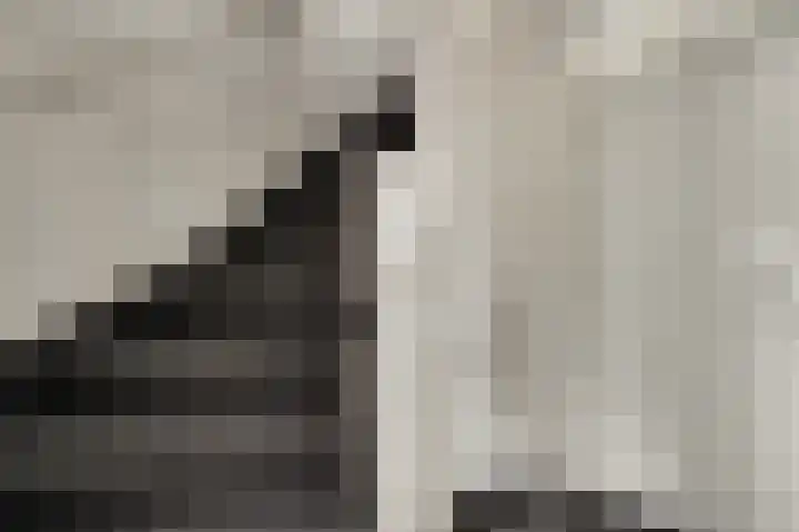 Vrinssenstraat 20 Stramproy thumbnail 25