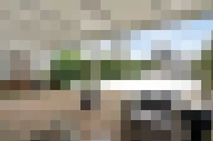 Vrinssenstraat 20 Stramproy thumbnail 32