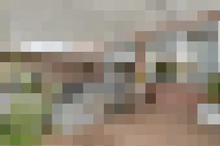Vrinssenstraat 20 Stramproy thumbnail 33