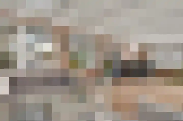Vrinssenstraat 20 Stramproy thumbnail 34