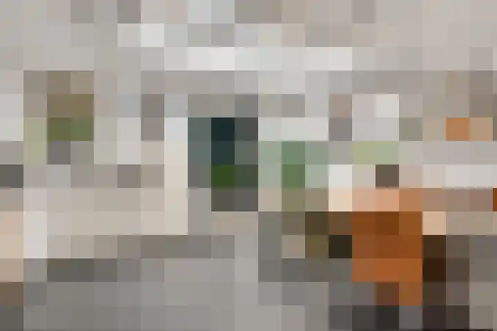 Vrinssenstraat 22 Stramproy thumbnail 11