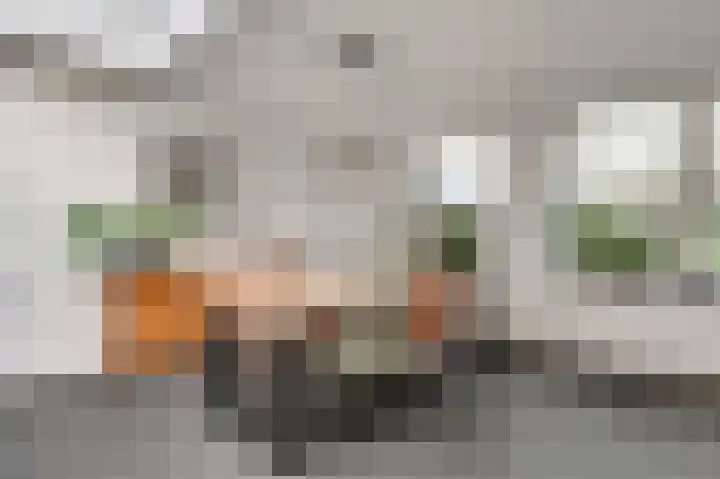 Vrinssenstraat 22 Stramproy thumbnail 12