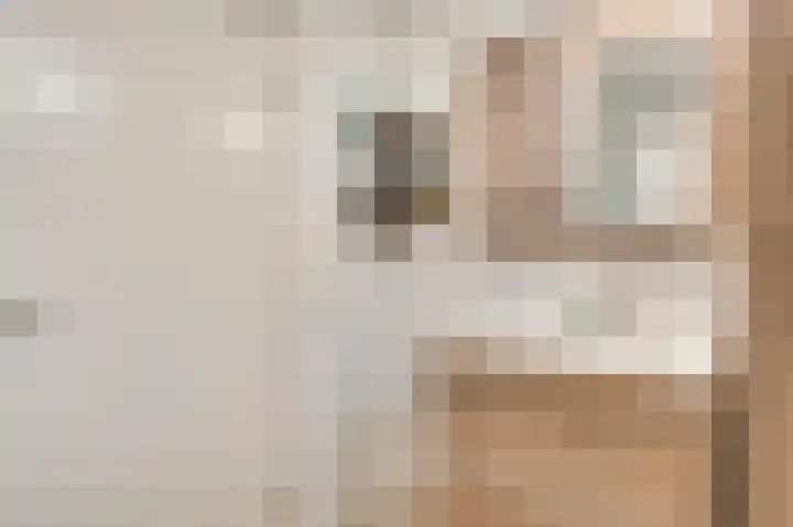 Vrinssenstraat 22 Stramproy thumbnail 17