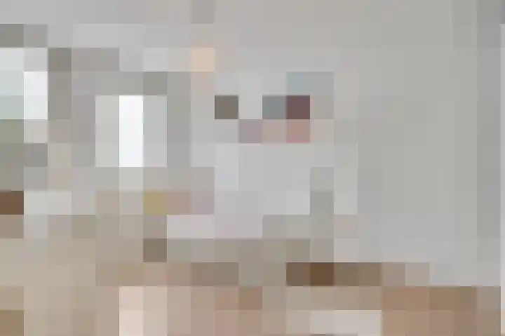 Vrinssenstraat 22 Stramproy thumbnail 19