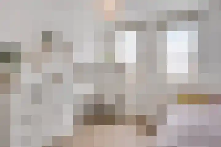 Vrinssenstraat 22 Stramproy thumbnail 20