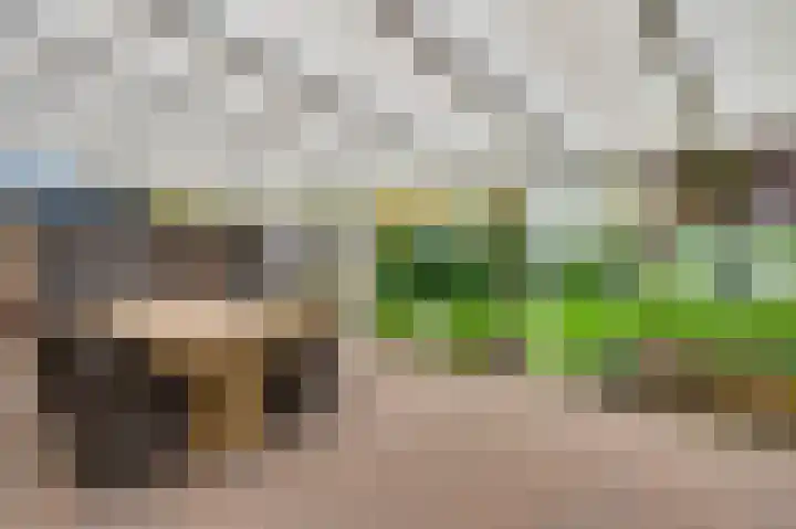 Vrinssenstraat 22 Stramproy thumbnail 24