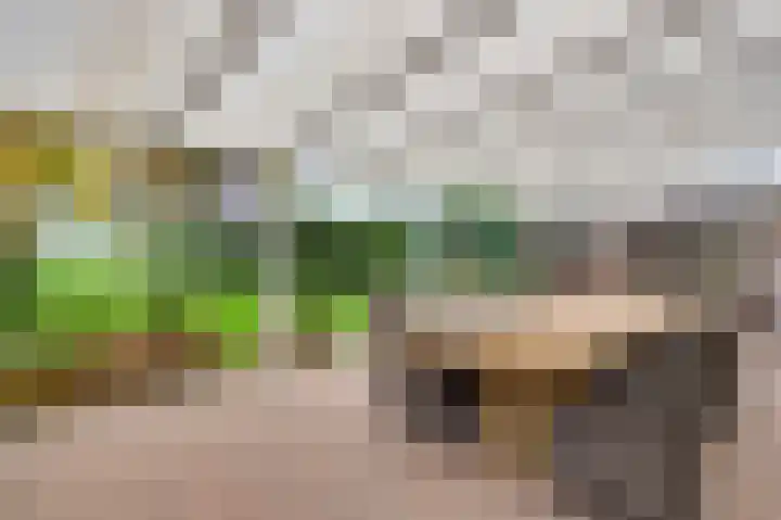 Vrinssenstraat 22 Stramproy thumbnail 27