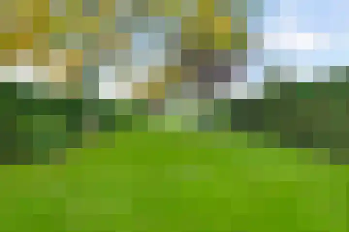 Vrinssenstraat 22 Stramproy thumbnail 4