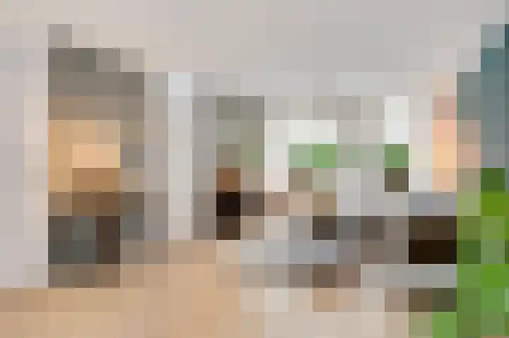 Vrinssenstraat 22 Stramproy thumbnail 5
