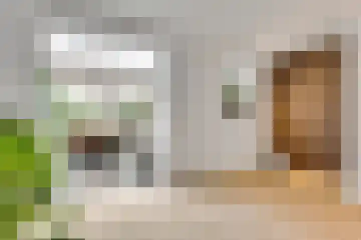 Vrinssenstraat 22 Stramproy thumbnail 8
