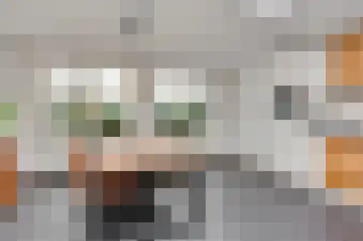 Vrinssenstraat 22 Stramproy thumbnail 9