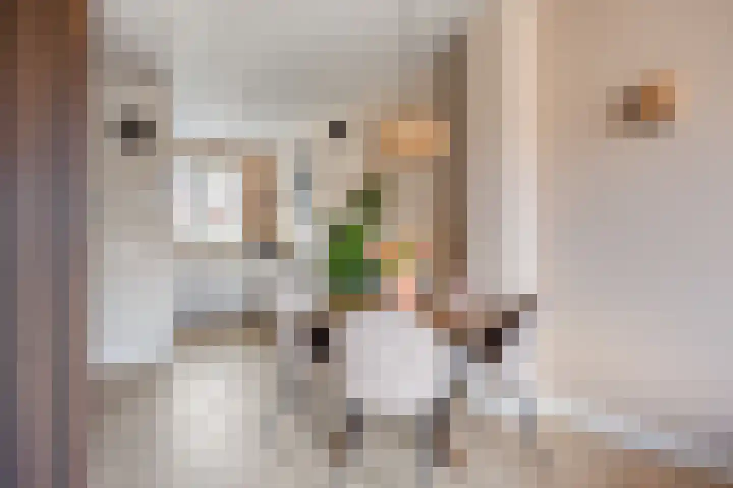 Vroede Vrouwenlaan 43 Gemert thumbnail 10