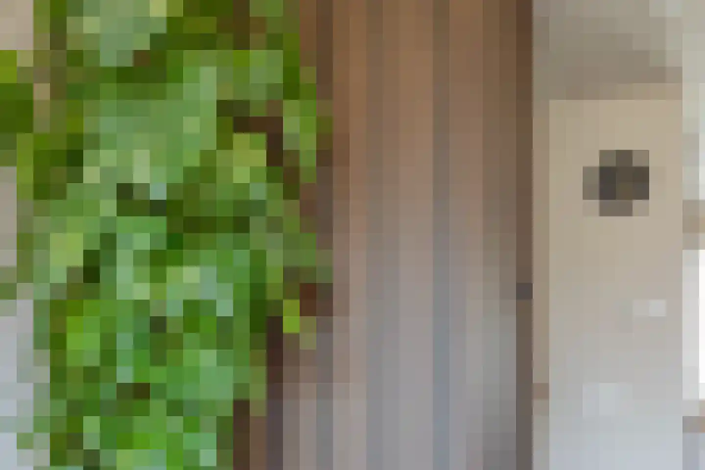 Vroede Vrouwenlaan 43 Gemert thumbnail 14