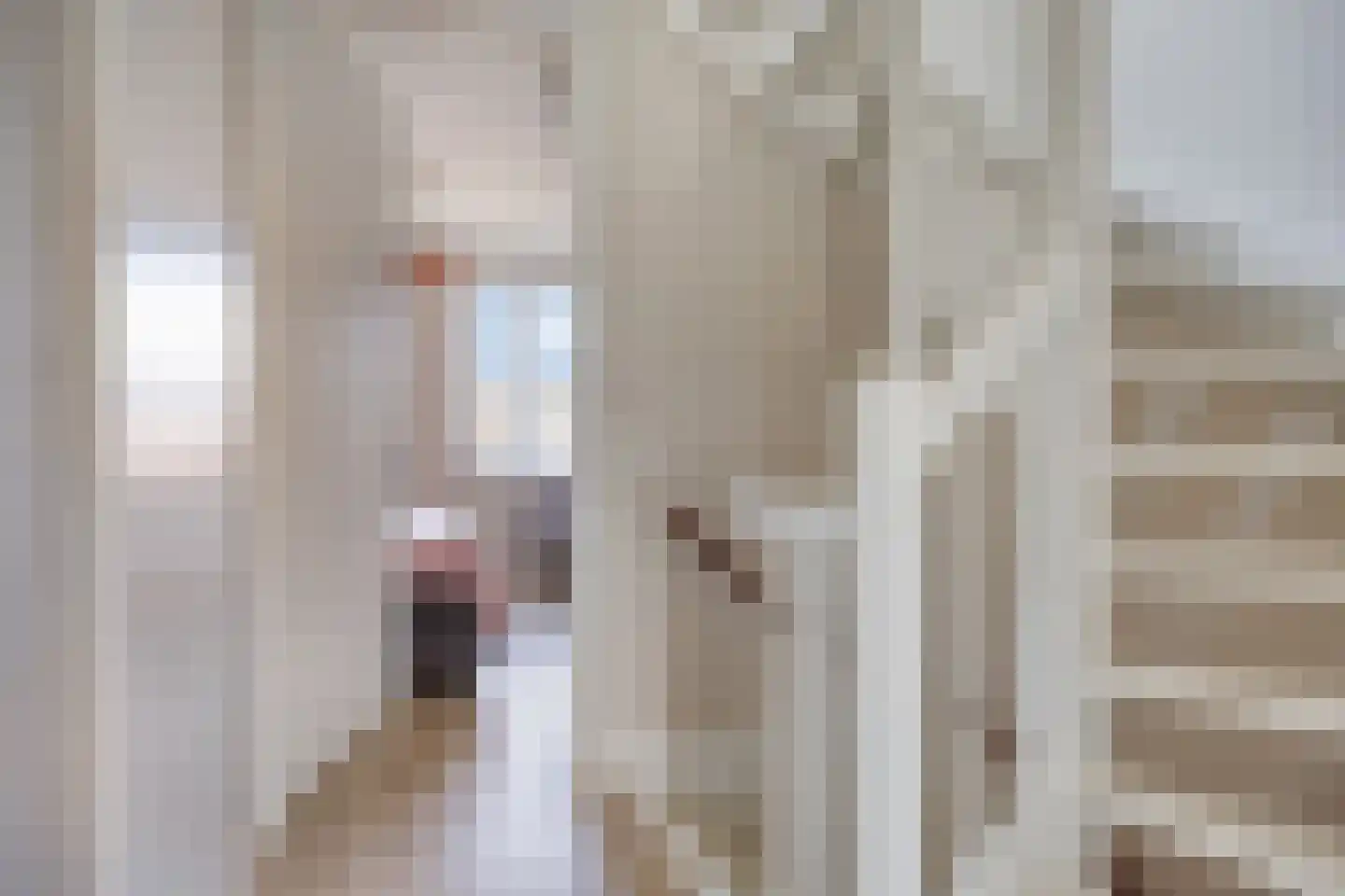 Vroede Vrouwenlaan 43 Gemert thumbnail 15
