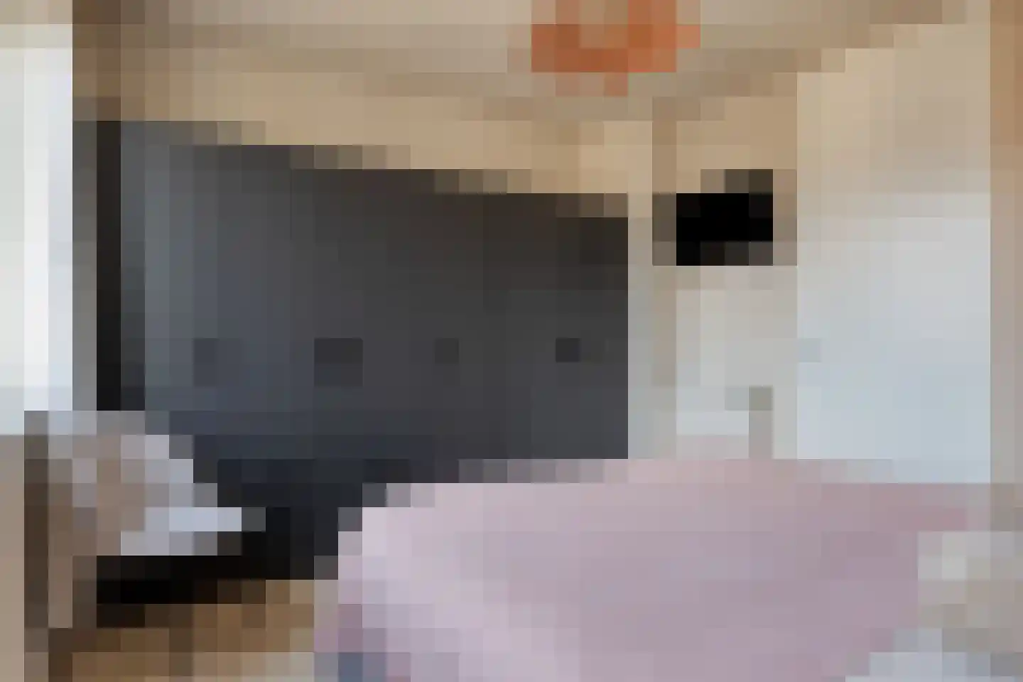 Vroede Vrouwenlaan 43 Gemert thumbnail 19