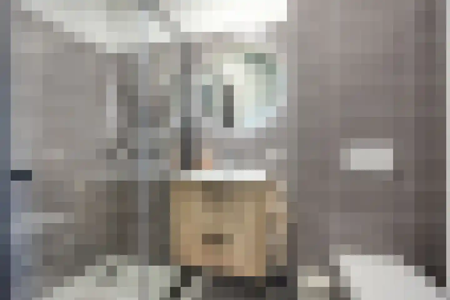 Vroede Vrouwenlaan 43 Gemert thumbnail 22