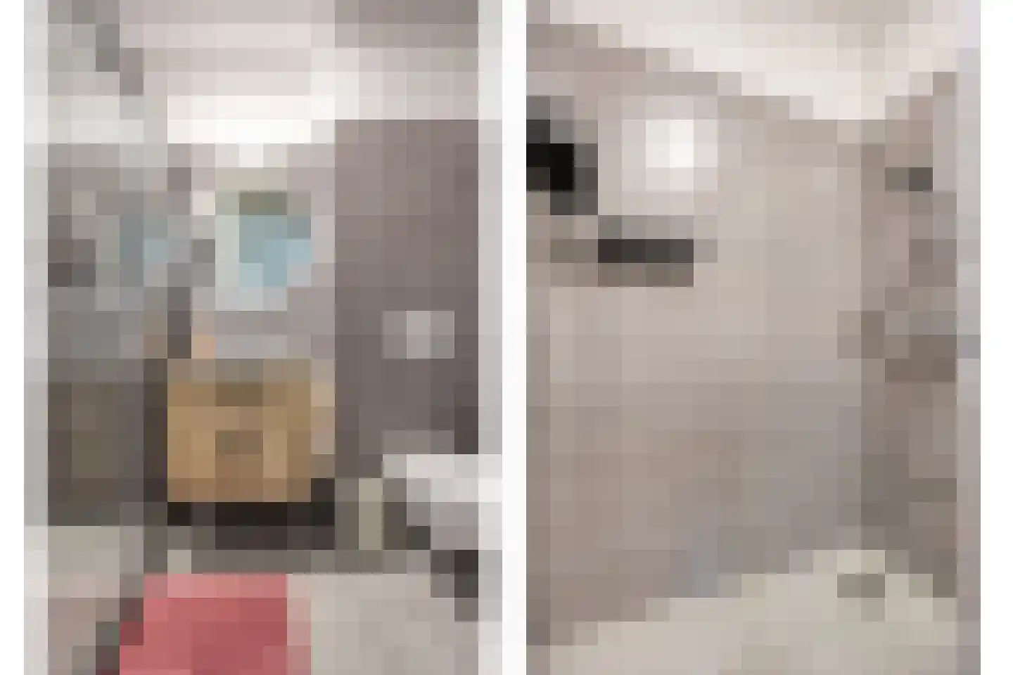 Vroede Vrouwenlaan 43 Gemert thumbnail 24