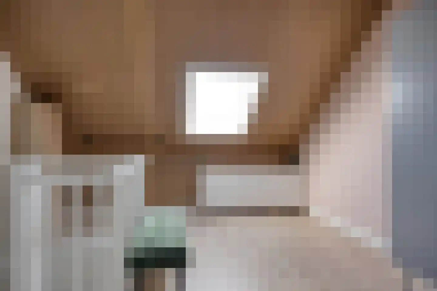 Vroede Vrouwenlaan 43 Gemert thumbnail 25