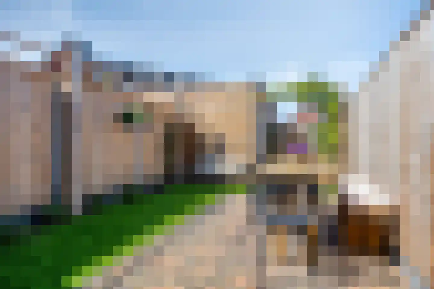Vroede Vrouwenlaan 43 Gemert thumbnail 30