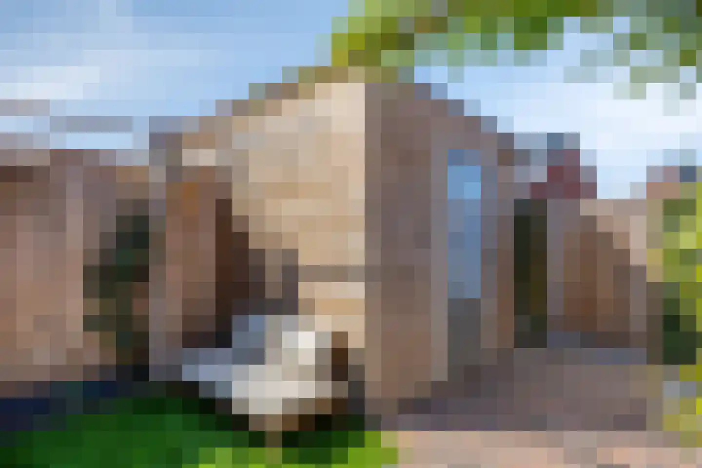 Vroede Vrouwenlaan 43 Gemert thumbnail 32