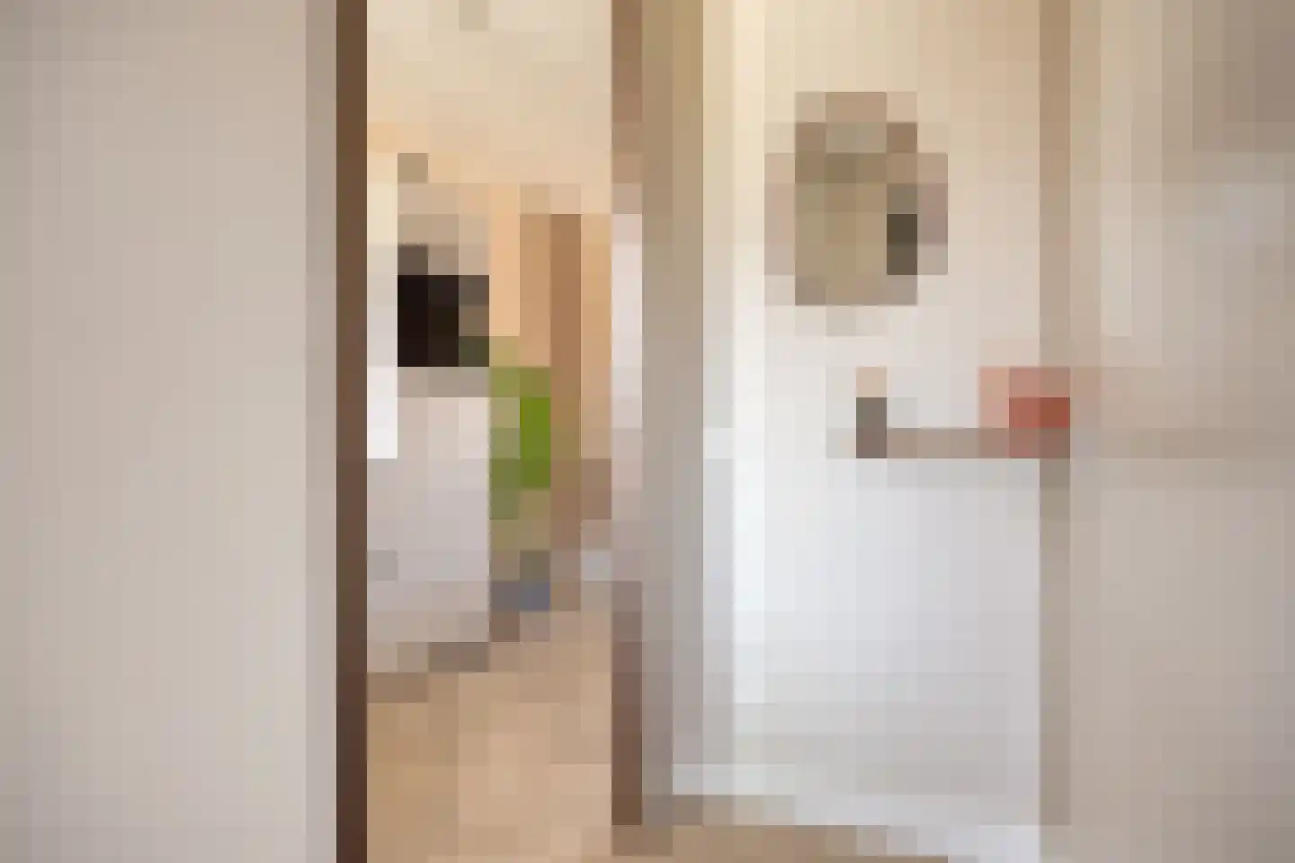 Vroede Vrouwenlaan 43 Gemert thumbnail 4