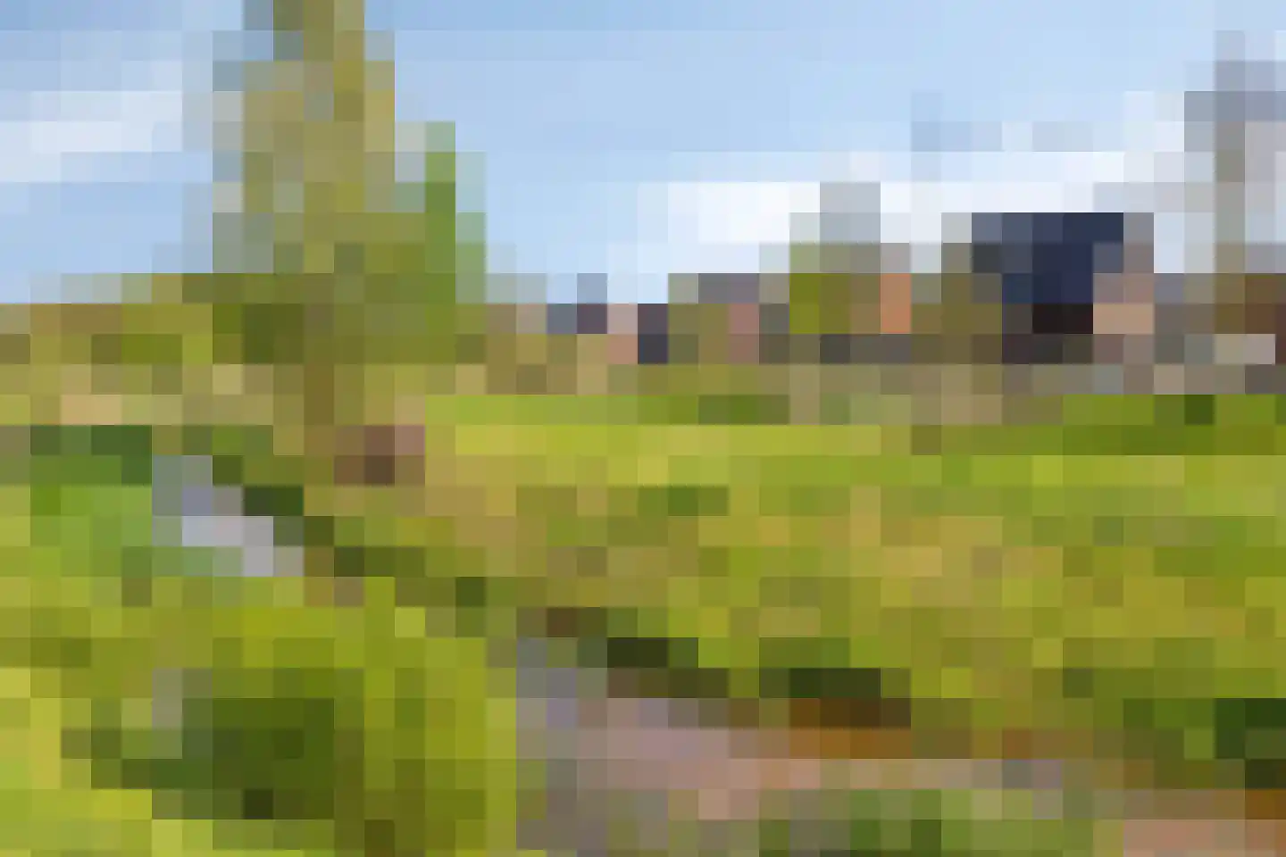 Vroede Vrouwenlaan 43 Gemert thumbnail 42