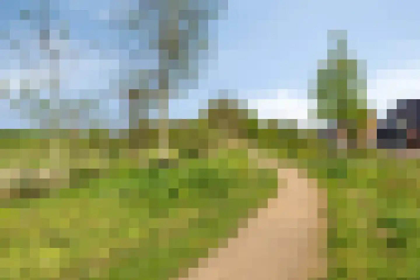 Vroede Vrouwenlaan 43 Gemert thumbnail 43