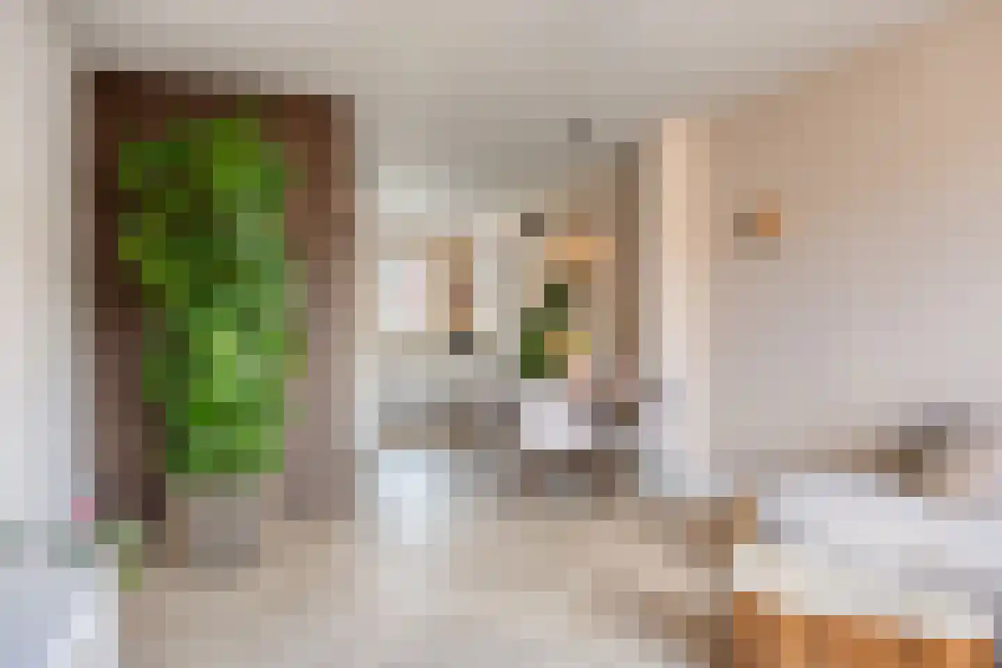 Vroede Vrouwenlaan 43 Gemert thumbnail 6
