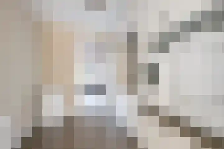 Vroege van Tol 13 Huissen thumbnail 10