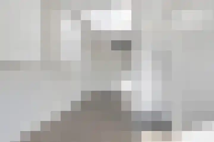 Vroege van Tol 13 Huissen thumbnail 12