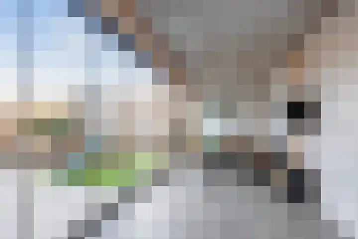 Vroege van Tol 13 Huissen thumbnail 13
