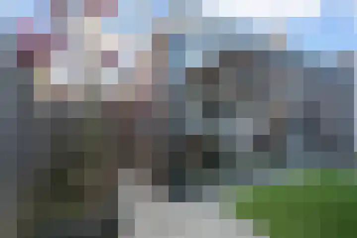 Vroege van Tol 13 Huissen thumbnail 15