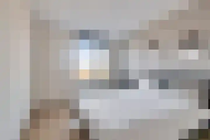 Vroege van Tol 13 Huissen thumbnail 17