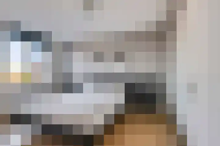 Vroege van Tol 13 Huissen thumbnail 18