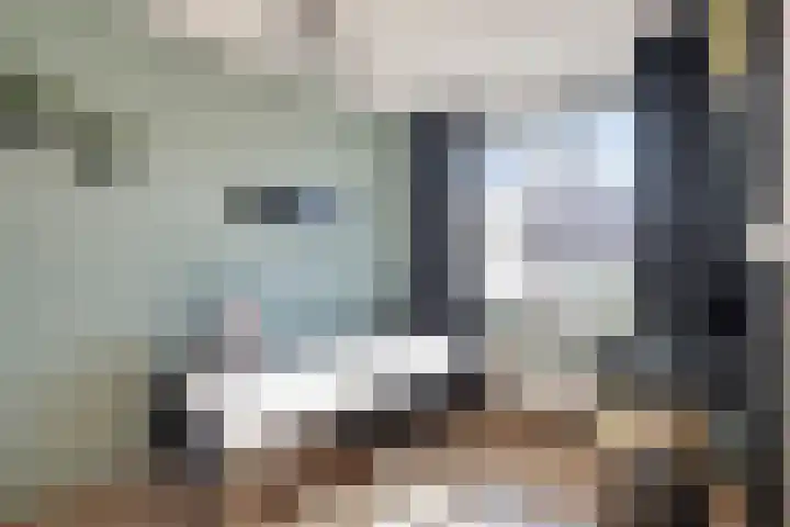 Vroege van Tol 13 Huissen thumbnail 19