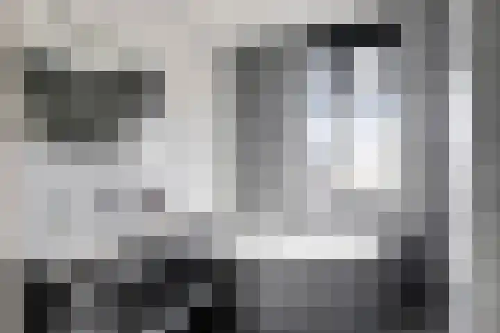 Vroege van Tol 13 Huissen thumbnail 21