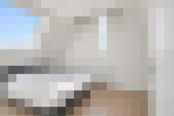 Vroege van Tol 13 Huissen thumbnail 23